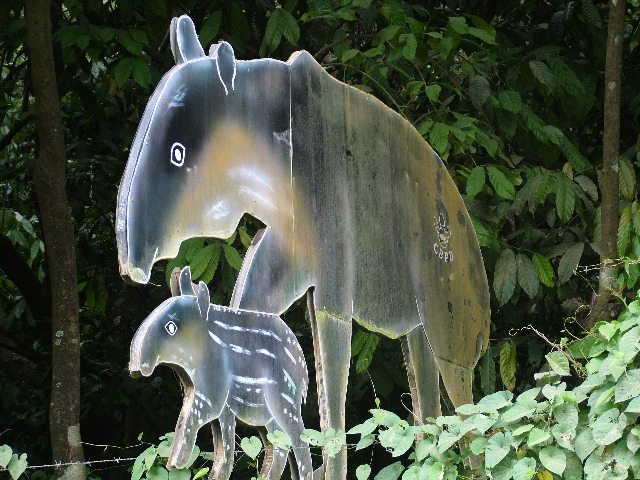 DSCF8814.JPG