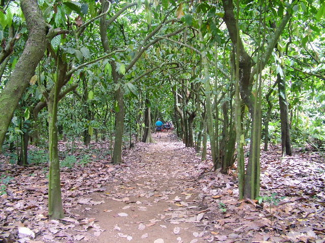 DSCF8815.JPG