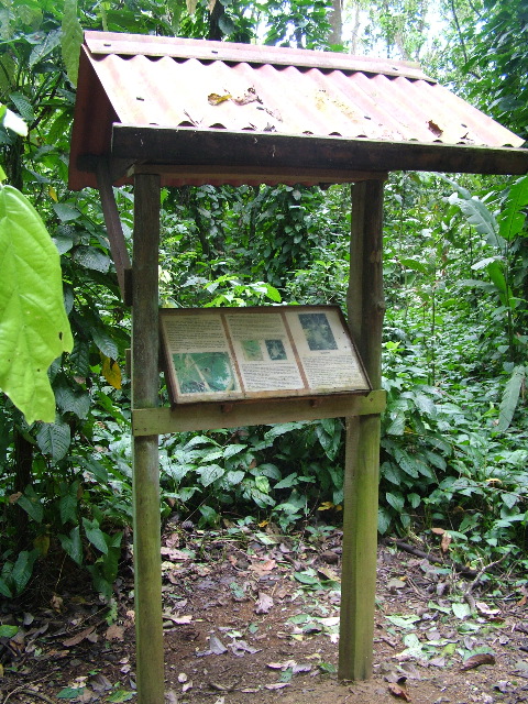 DSCF8816.JPG