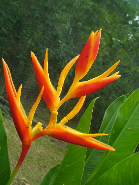 DSCF8819.JPG