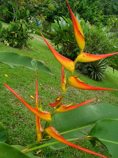 DSCF8823.JPG