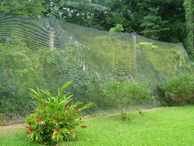DSCF8824.JPG