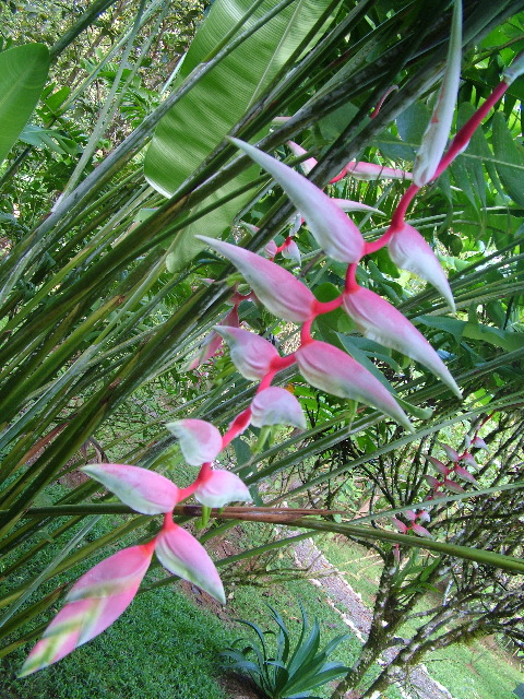 DSCF8827.JPG
