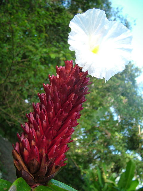 DSCF8828.JPG
