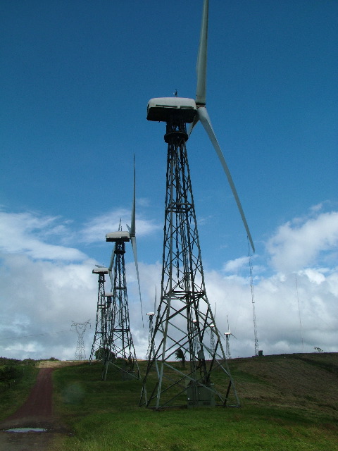 DSCF8613.JPG