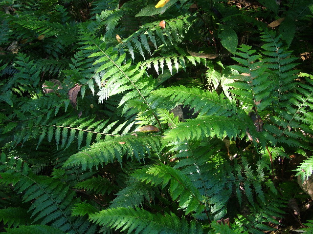 DSCF8832.JPG