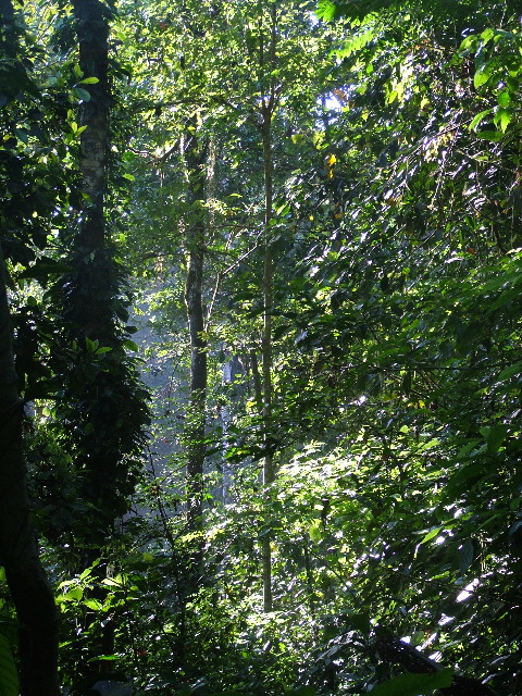 DSCF8833.JPG