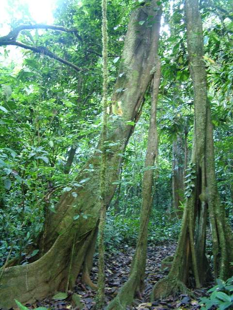 DSCF8835.JPG