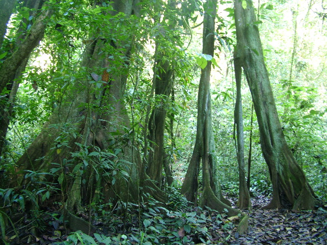 DSCF8836.JPG