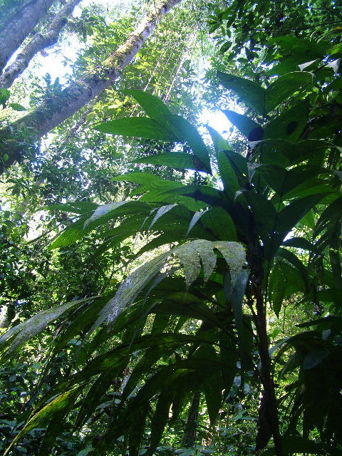 DSCF8838.JPG