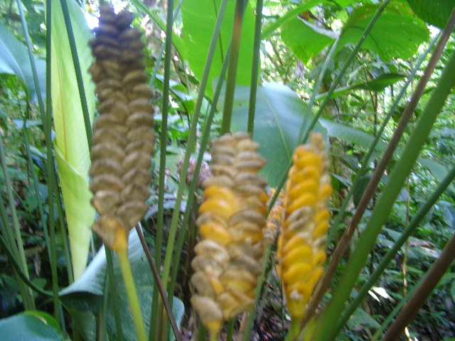 DSCF8839.JPG