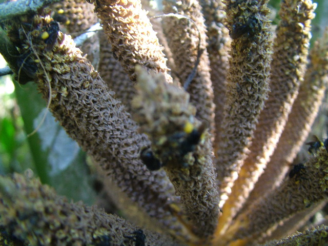 DSCF8840.JPG
