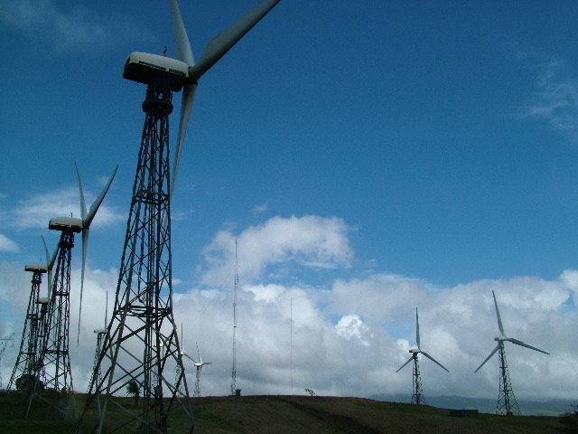 DSCF8614.JPG