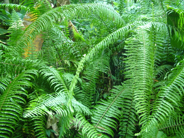 DSCF8842.JPG