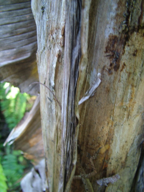 DSCF8843.JPG