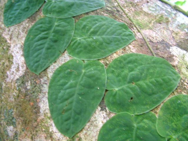 DSCF8844.JPG