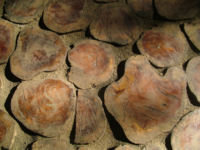 DSCF8846.JPG
