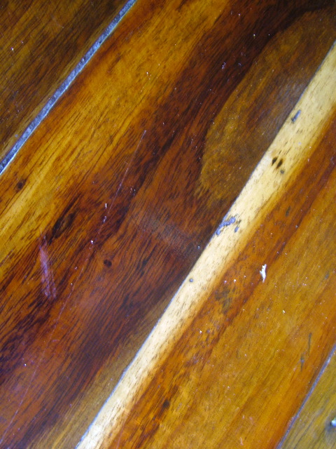 DSCF8850.JPG