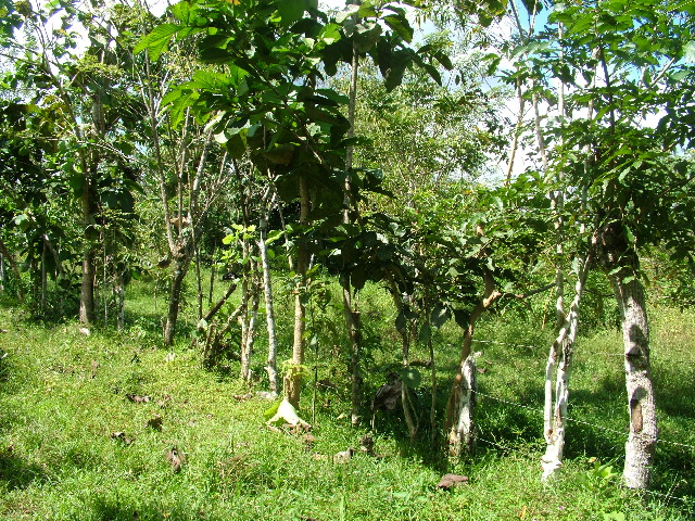 DSCF8856.JPG