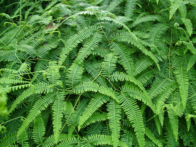 DSCF8857.JPG