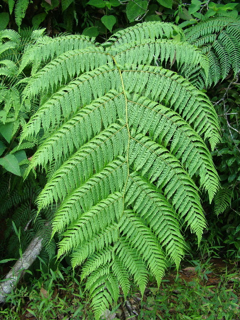 DSCF8858.JPG