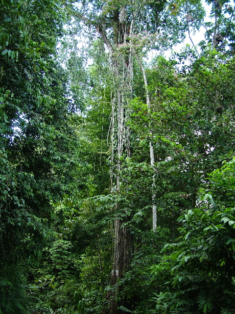 DSCF8859.JPG