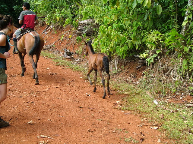 DSCF8860.JPG