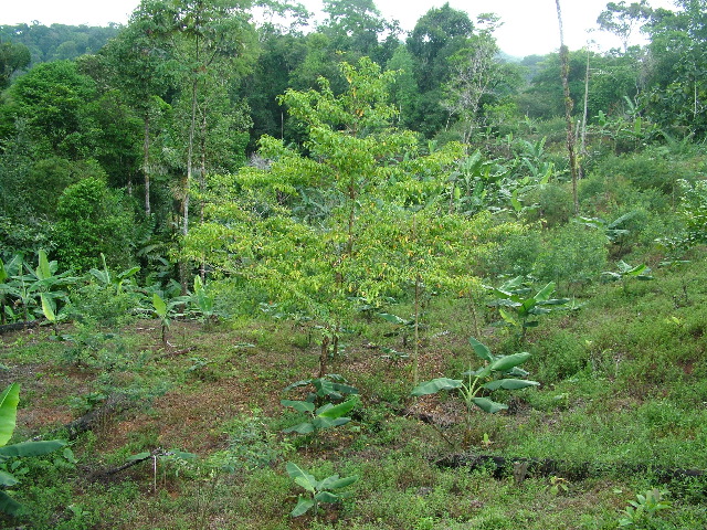 DSCF8866.JPG