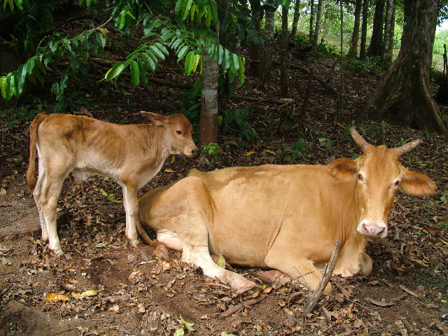 DSCF8867.JPG