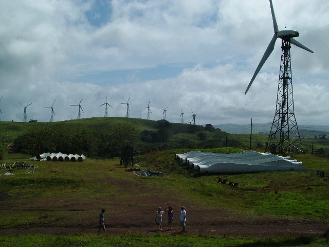 DSCF8617.JPG