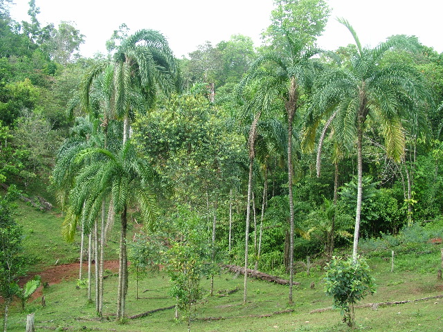 DSCF8881.JPG