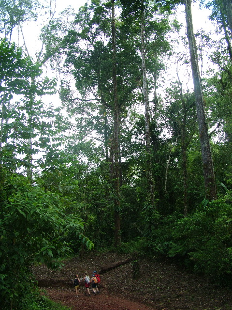 DSCF8882.JPG