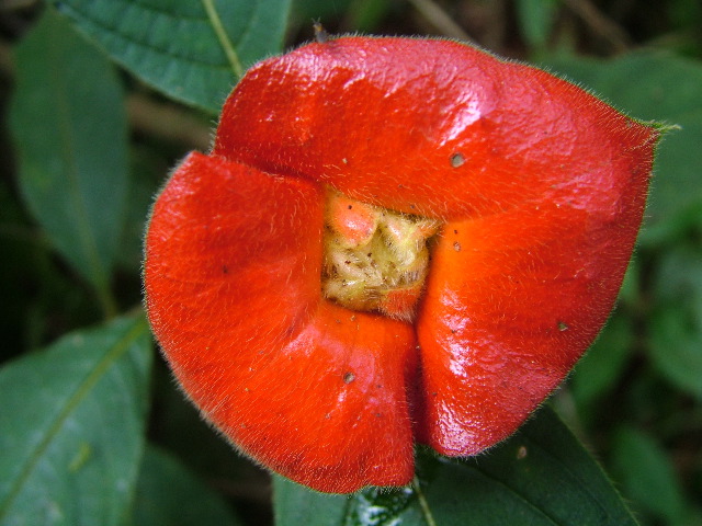DSCF8883.JPG