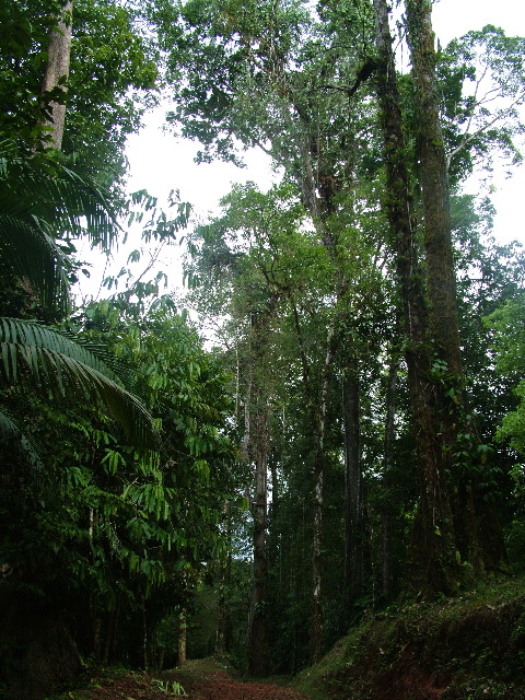 DSCF8885.JPG