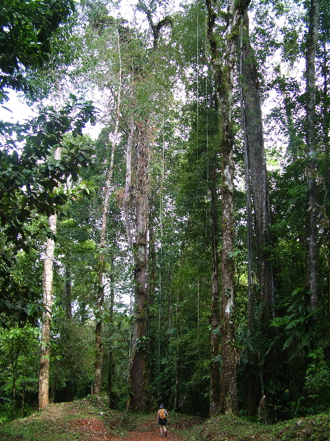 DSCF8886.JPG