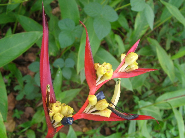DSCF8890.JPG