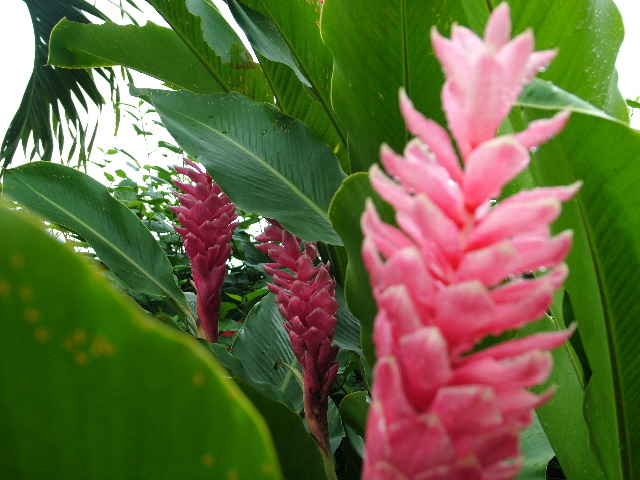 DSCF8592.JPG