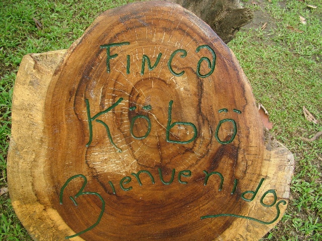 DSCF8891.JPG