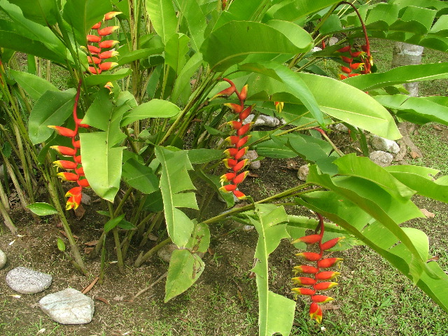 DSCF8892.JPG