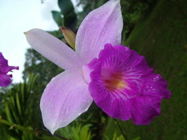 DSCF8893.JPG
