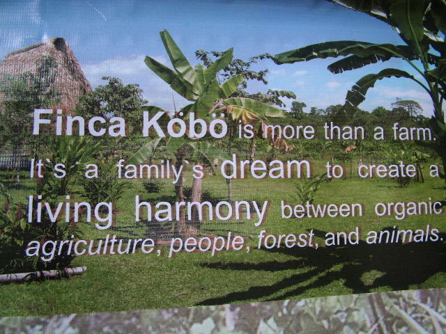 DSCF8894.JPG