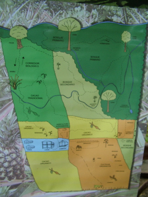 DSCF8895.JPG