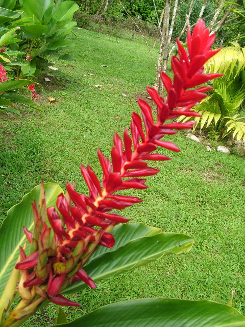 DSCF8897.JPG