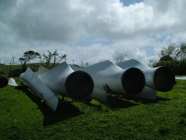 DSCF8620.JPG