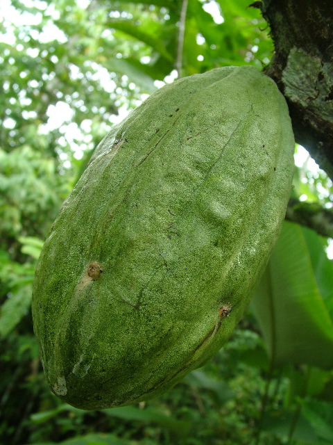 DSCF8902.JPG