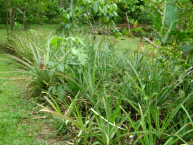 DSCF8908.JPG