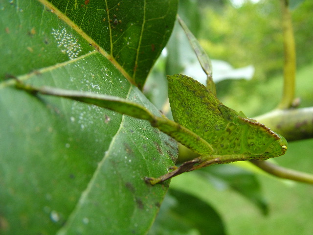 DSCF8910.JPG