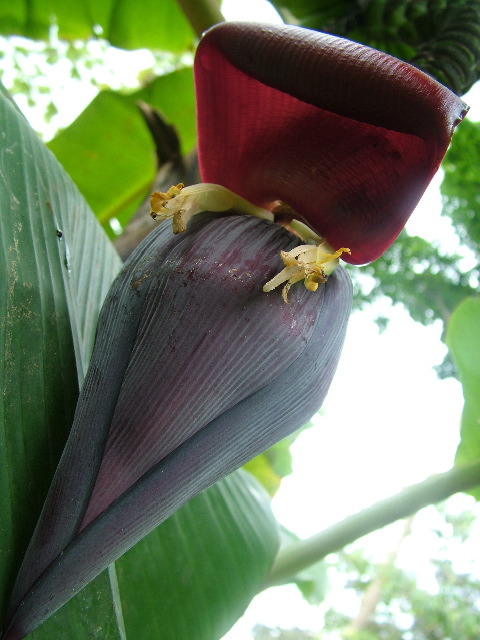 DSCF8911.JPG