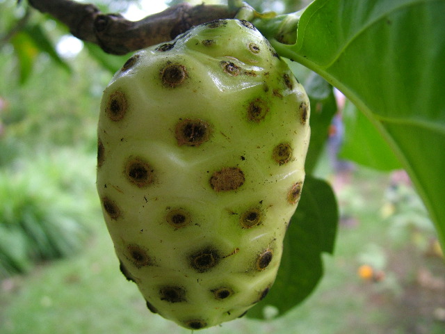 DSCF8913.JPG