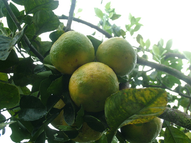 DSCF8914.JPG